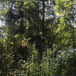 Meet your Posher, Tyra